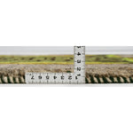 ウール手織りペルシャ絨毯 動物デザイン ギャッベ