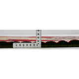 ペルシャ絨毯 シーラーズ産 ライオンギャッベ 赤地にベージュのライオン 手織り ウール製 約70×95cm 厚み約2cm