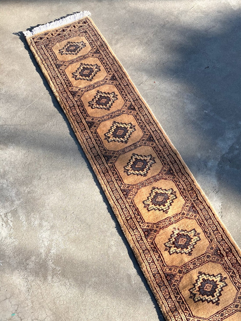 ラホール、パンジャーブ州で織られた細長い絨毯。珍しいサイズ感が魅力。