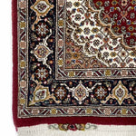 イランタブリーズ産手織りペルシャ絨毯マヒ柄ウールシルク60cmx92cmのクローズアップ
